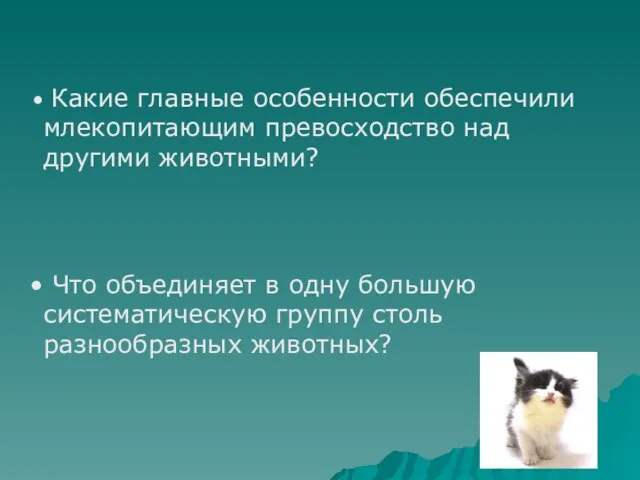 Какие главные особенности обеспечили млекопитающим превосходство над другими животными? Что объединяет в