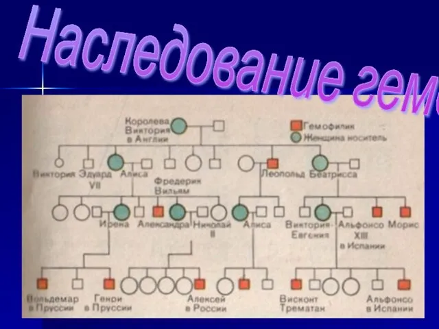 Наследование гемофилии