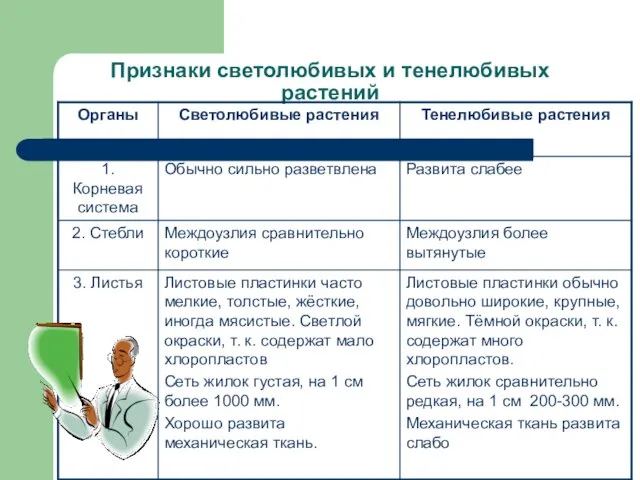 Признаки светолюбивых и тенелюбивых растений