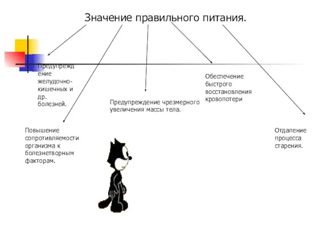 Значение правильного питания. Предупреждение желудочно-кишечных и др. болезней. Повышение сопротивляемости организма к