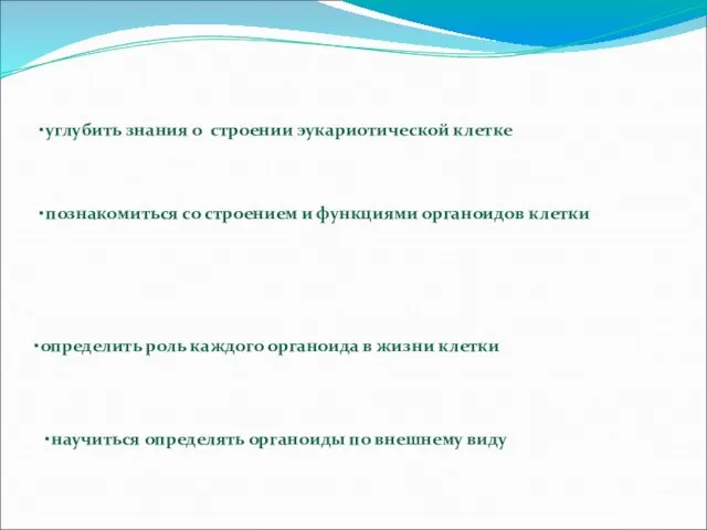 углубить знания о строении эукариотической клетке познакомиться со строением и функциями органоидов