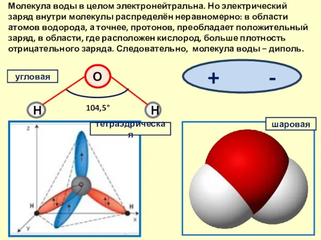 Молекула воды в целом электронейтральна. Но электрический заряд внутри молекулы распределён неравномерно: