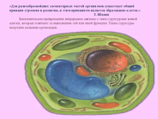 «Для разнообразнейших элементарных частей организмов существует общий принцип строения и развития, и