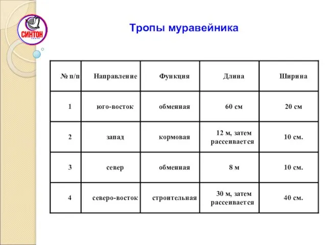 Тропы муравейника