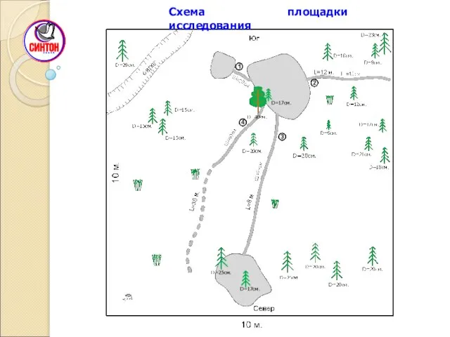 Схема площадки исследования