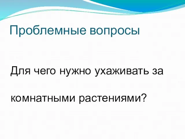 Проблемные вопросы Для чего нужно ухаживать за комнатными растениями?