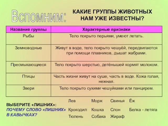 Вспомним: КАКИЕ ГРУППЫ ЖИВОТНЫХ НАМ УЖЕ ИЗВЕСТНЫ? ВЫБЕРИТЕ «ЛИШНИХ»: ПОЧЕМУ СЛОВО «ЛИШНИХ» В КАВЫЧКАХ?