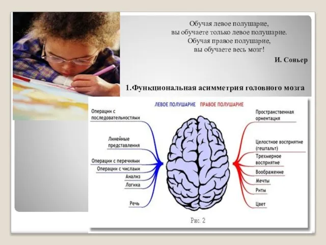 Обучая левое полушарие, вы обучаете только левое полушарие. Обучая правое полушарие, вы