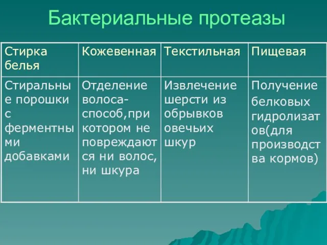 Бактериальные протеазы