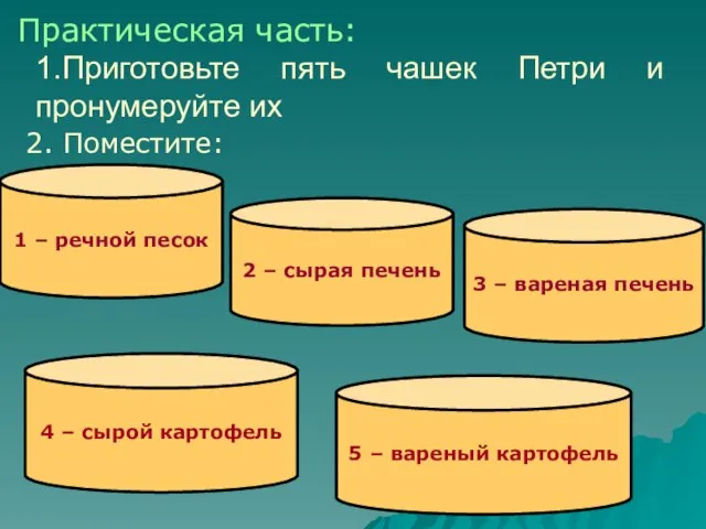 1 – речной песок 1.Приготовьте пять чашек Петри и пронумеруйте их 2.