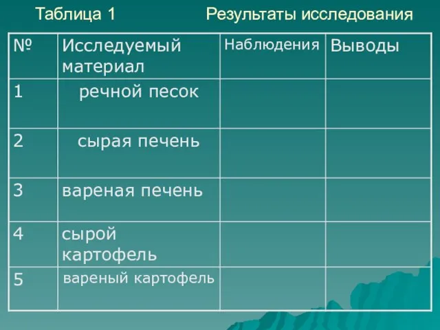 Таблица 1 Результаты исследования