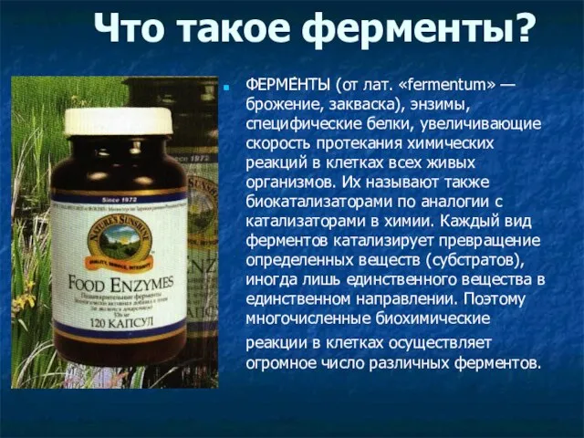 Что такое ферменты? ФЕРМЕ́НТЫ (от лат. «fermentum» — брожение, закваска), энзимы, специфические