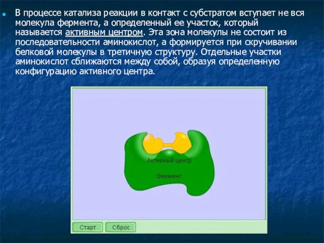 В процессе катализа реакции в контакт с субстратом вступает не вся молекула