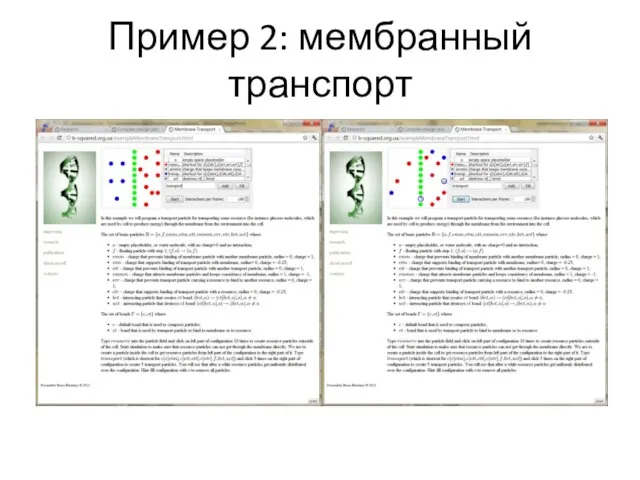 Пример 2: мембранный транспорт