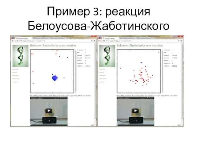 Пример 3: реакция Белоусова-Жаботинского