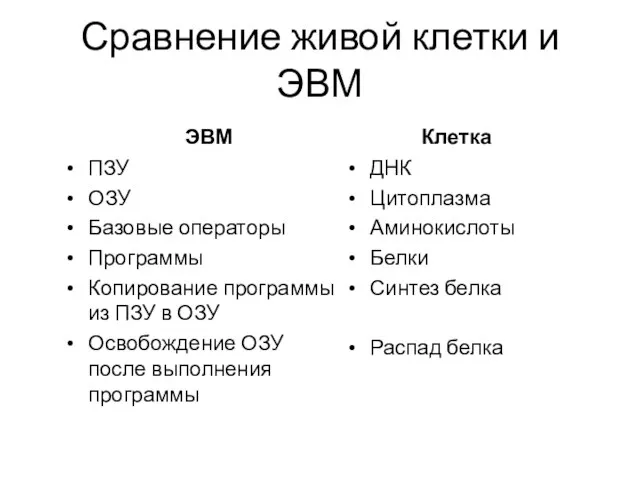 Сравнение живой клетки и ЭВМ Клетка ДНК Цитоплазма Аминокислоты Белки Синтез белка