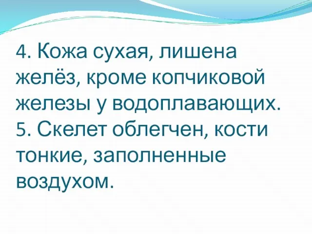 4. Кожа сухая, лишена желёз, кроме копчиковой железы у водоплавающих. 5. Скелет