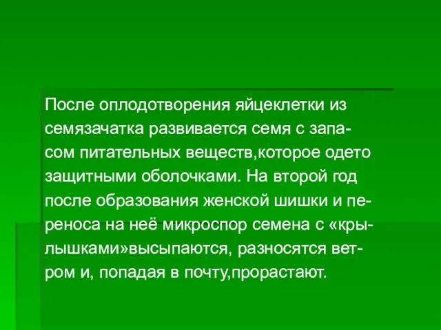 После оплодотворения яйцеклетки из семязачатка развивается семя с запа- сом питательных веществ,которое