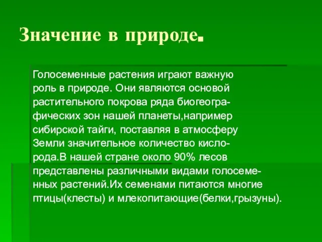 Значение в природе. Голосеменные растения играют важную роль в природе. Они являются