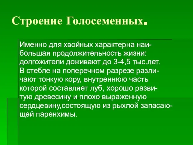 Строение Голосеменных. Именно для хвойных характерна наи- большая продолжительность жизни: долгожители доживают