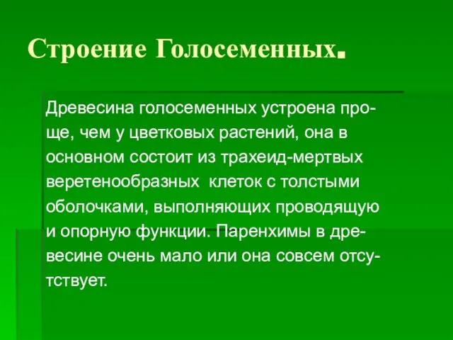 Строение Голосеменных. Древесина голосеменных устроена про- ще, чем у цветковых растений, она