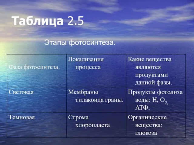 Таблица 2.5 Этапы фотосинтеза.