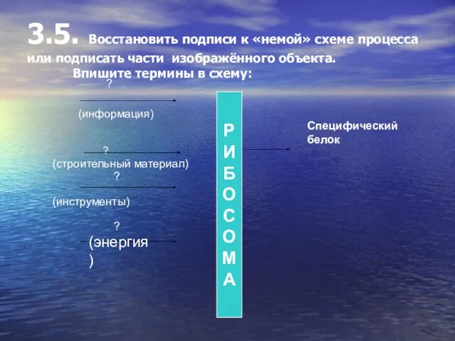 3.5. Восстановить подписи к «немой» схеме процесса или подписать части изображённого объекта.