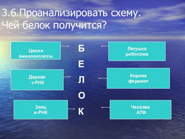 3.6.Проанализировать схему. Чей белок получится? Цапля аминокислоты Дерево т-РНК Заяц и-РНК Лягушка