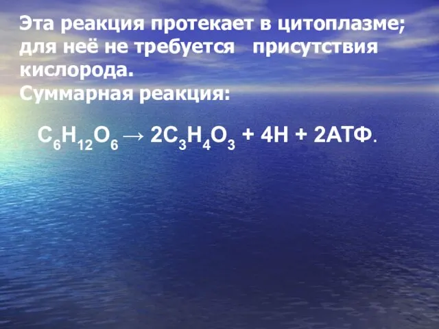 Эта реакция протекает в цитоплазме; для неё не требуется присутствия кислорода. Суммарная