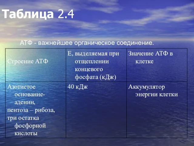 Таблица 2.4 АТФ - важнейшее органическое соединение.