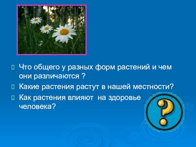 Что общего у разных форм растений и чем они различаются ? Какие