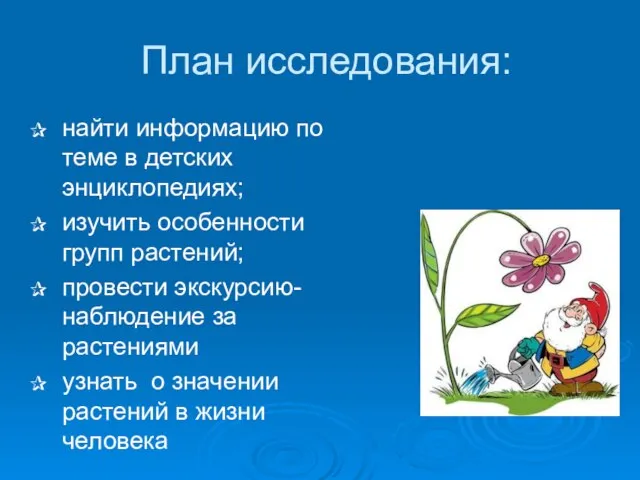 План исследования: найти информацию по теме в детских энциклопедиях; изучить особенности групп