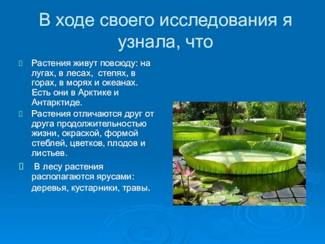 В ходе своего исследования я узнала, что Растения живут повсюду: на лугах,