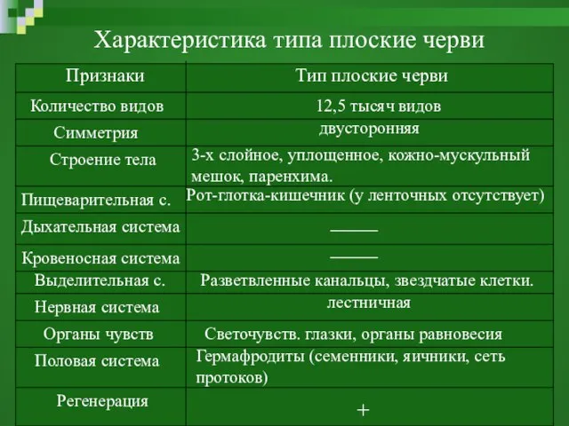 Характеристика типа плоские черви Признаки Тип плоские черви Количество видов Симметрия Строение