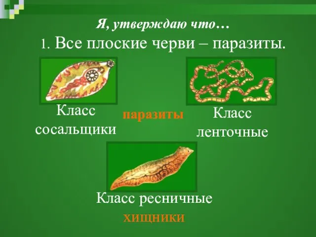 Я, утверждаю что… 1. Все плоские черви – паразиты. Класс сосальщики Класс