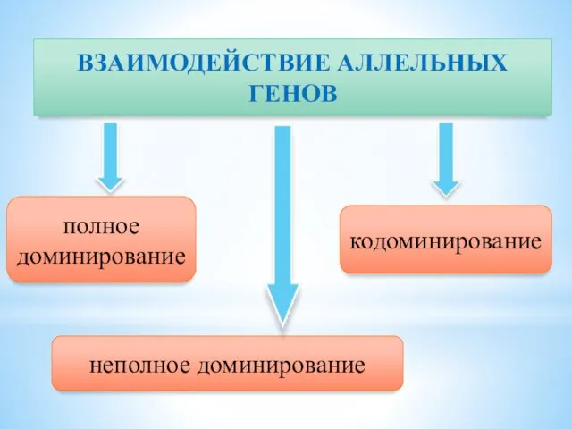 ВЗАИМОДЕЙСТВИЕ АЛЛЕЛЬНЫХ ГЕНОВ полное доминирование неполное доминирование кодоминирование