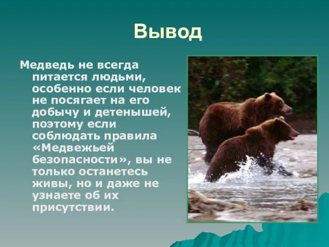 Вывод Медведь не всегда питается людьми, особенно если человек не посягает на