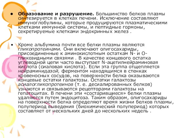 Образование и разрушение. Большинство белков плазмы синтезируется в клетках печени. Исключение составляют