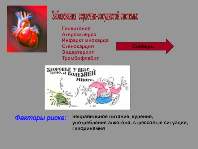 Заболевания сердечно-сосудистой системы: Гипертония Атеросклероз Инфаркт миокарда Стенокардия Эндартериит Тромбофлебит Словарь Факторы