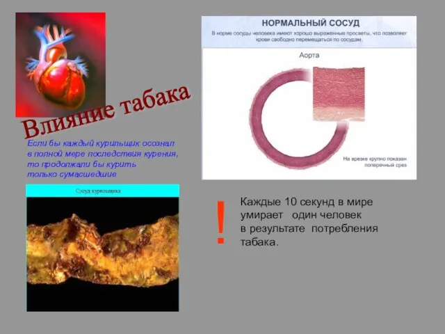 Влияние табака Если бы каждый курильщик осознал в полной мере последствия курения,