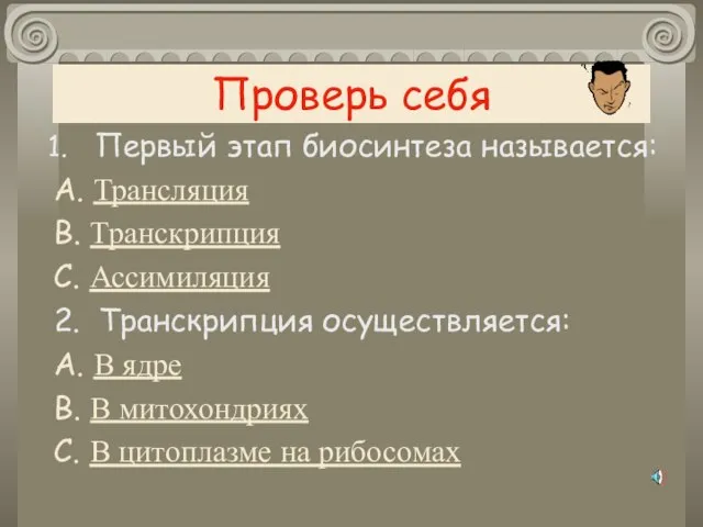 Проверь себя Первый этап биосинтеза называется: А. Трансляция В. Транскрипция С. Ассимиляция