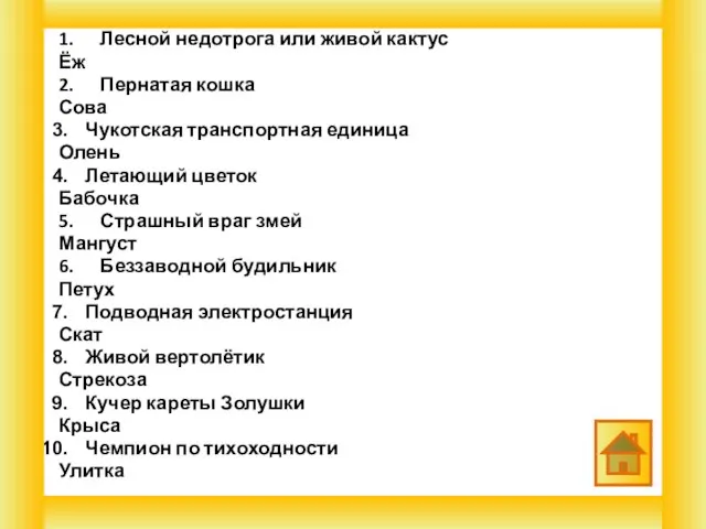 1. Лесной недотрога или живой кактус Ёж 2. Пернатая кошка Сова Чукотская