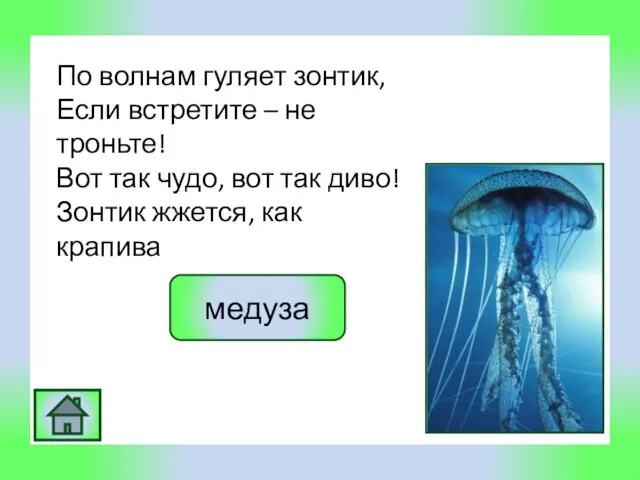 По волнам гуляет зонтик, Если встретите – не троньте! Вот так чудо,