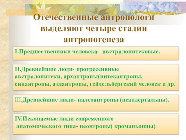 Отечественные антропологи выделяют четыре стадии антропогенеза I.Предшественники человека- австралопитековые. IV.Ископаемые люди современного