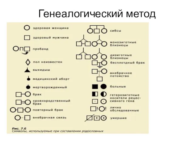 Генеалогический метод