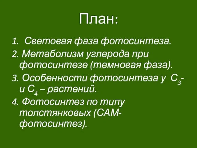 План: 1. Световая фаза фотосинтеза. 2. Метаболизм углерода при фотосинтезе (темновая фаза).