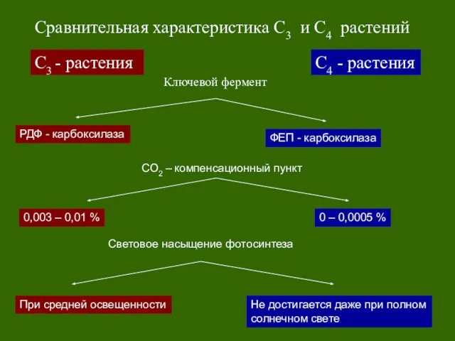 С3 - растения С4 - растения Сравнительная характеристика С3 и С4 растений