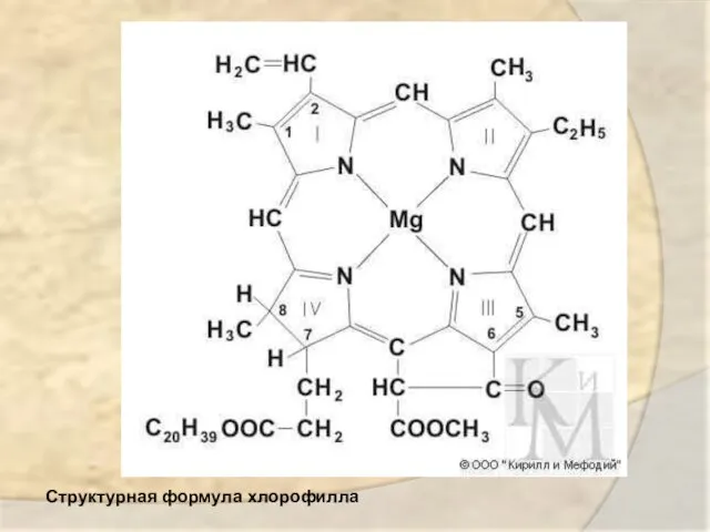 Структурная формула хлорофилла