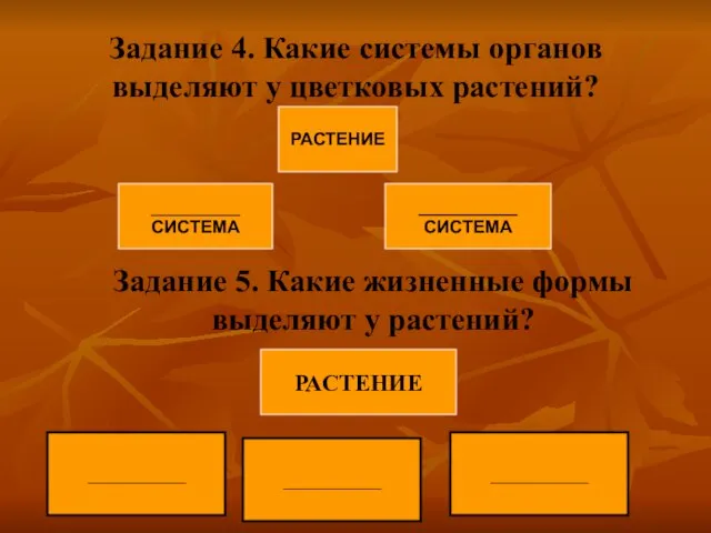 Задание 4. Какие системы органов выделяют у цветковых растений? Задание 5. Какие