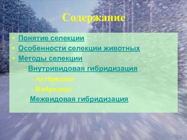 Содержание Понятие селекции Особенности селекции животных Методы селекции - Внутривидовая гибридизация -